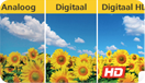 HD Beeld