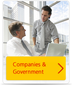 Medium and Large Companies