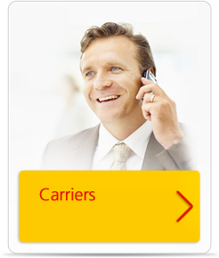 Carriers