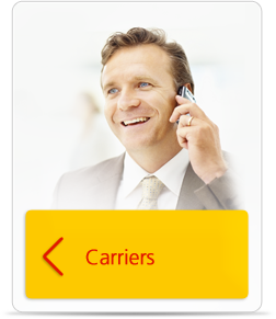 Carriers